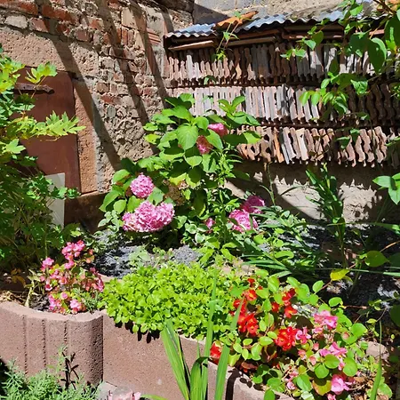 S'waschbel Eck Гостевой дом Oberbronn